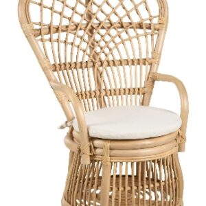 Children's Peacock Chair